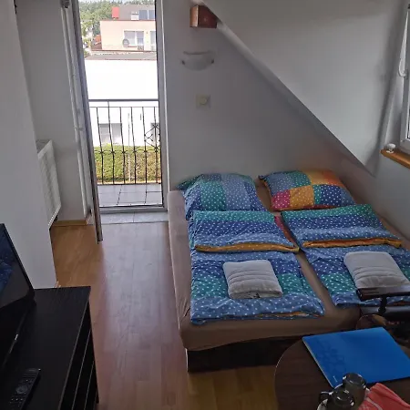 Maja דז'ווירז'ינו